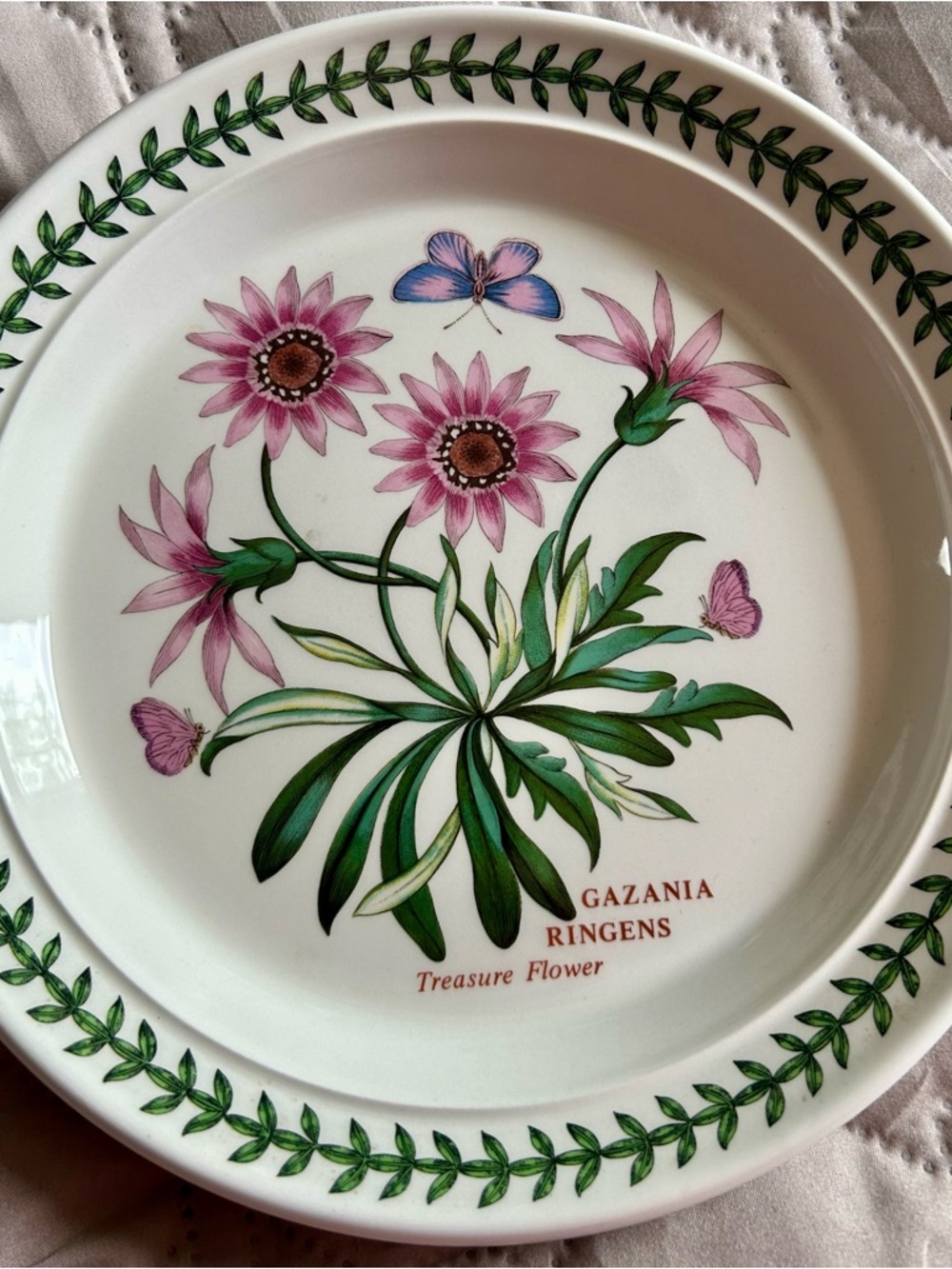 Portmeirion Pink and Green Gazania Ringens Floral Plate